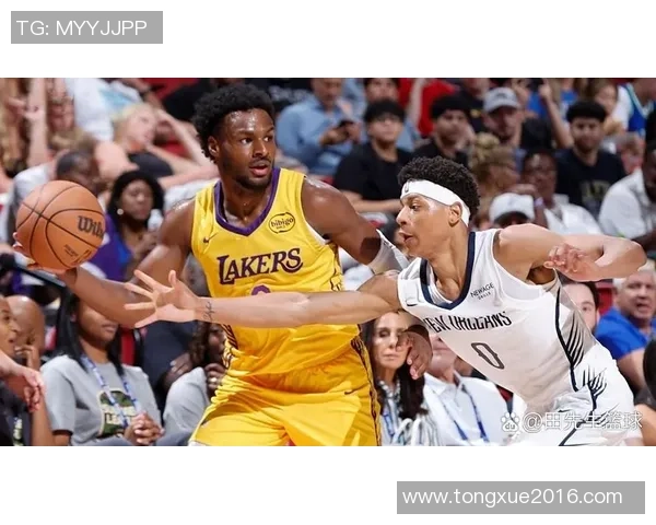 湖人对决鹈鹕精彩回顾与赛后分析展望未来比赛走势